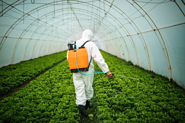 Best Emergency Pest Control  in East Gaffney, SC