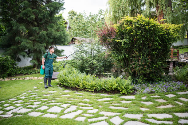 Best Wasp Removal Services  in East Gaffney, SC