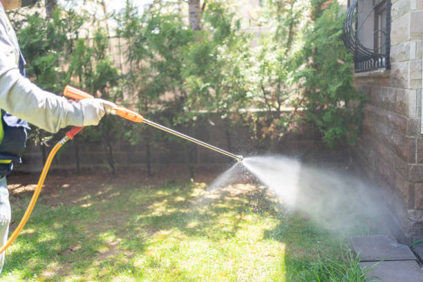 Insect Control in East Gaffney, SC