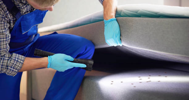 Best Flea Control Services  in East Gaffney, SC